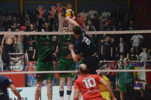 paniwnioskalamata80f1_result